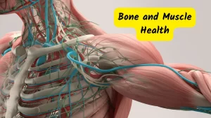 Bone and Muscle Health