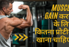 Muscle Gain करने के लिए कितना प्रोटीन खाना चाहिए?