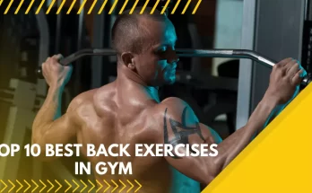 Top 10 Best Back Exercises in Gym